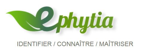 ephytia.JPG