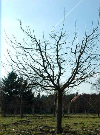 exemple_taille02.jpg